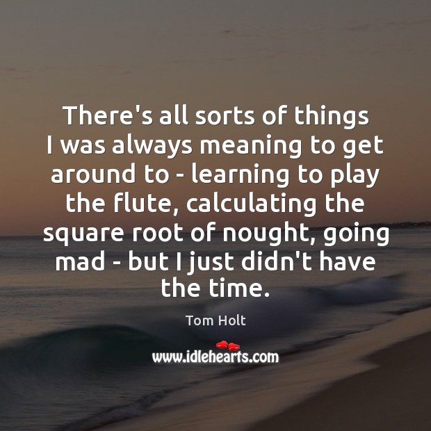 There’s all sorts of things I was always meaning to get around Tom Holt Picture Quote