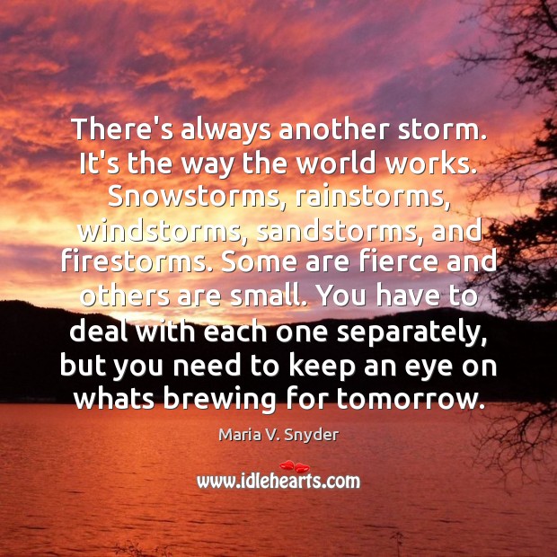 There’s always another storm. It’s the way the world works. Snowstorms, rainstorms, Maria V. Snyder Picture Quote