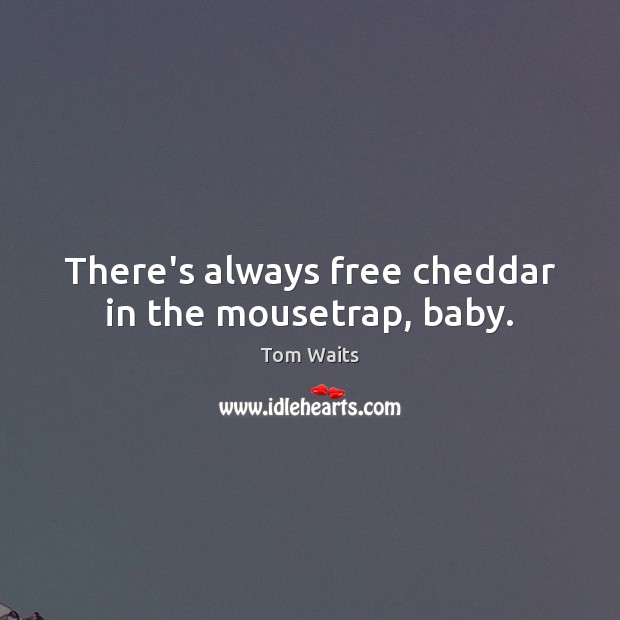 There’s always free cheddar in the mousetrap, baby. Tom Waits Picture Quote