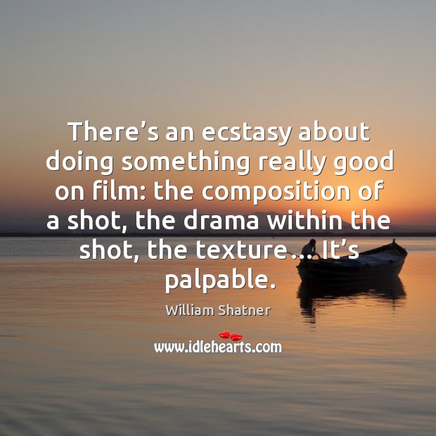 There’s an ecstasy about doing something really good on film: the composition of a shot William Shatner Picture Quote