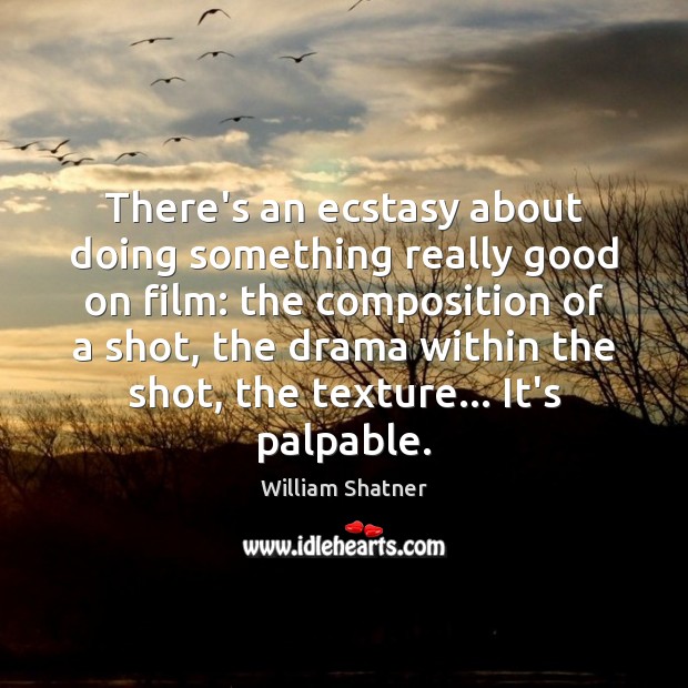 There’s an ecstasy about doing something really good on film: the composition William Shatner Picture Quote