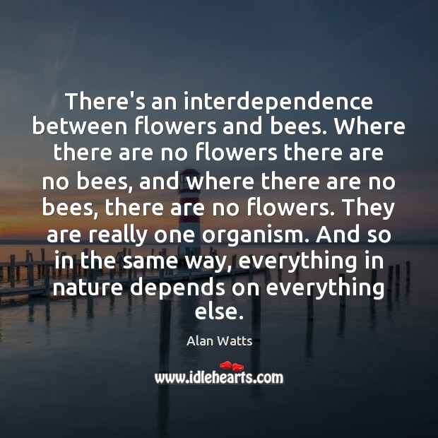 There’s an interdependence between flowers and bees. Where there are no flowers Alan Watts Picture Quote
