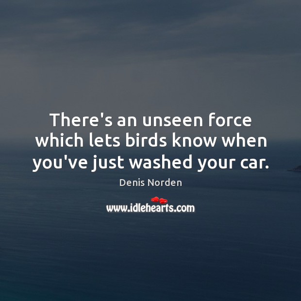 There’s an unseen force which lets birds know when you’ve just washed your car. Denis Norden Picture Quote