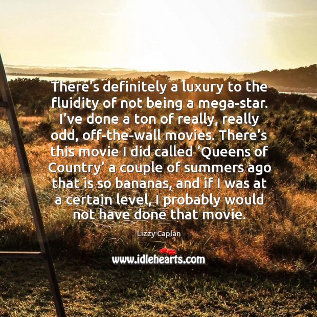 There’s definitely a luxury to the fluidity of not being a mega-star. Lizzy Caplan Picture Quote