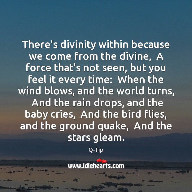 There’s divinity within because we come from the divine,  A force that’s Q-Tip Picture Quote