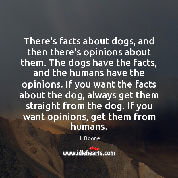 There’s facts about dogs, and then there’s opinions about them. The dogs Image