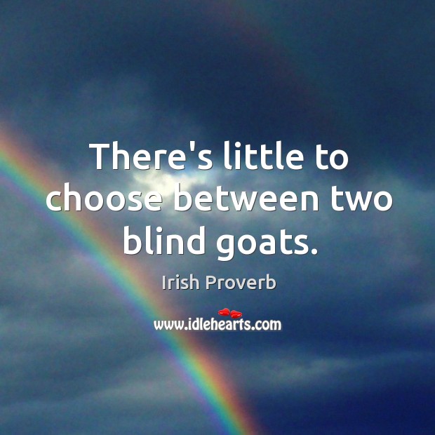 There’s little to choose between two blind goats. Irish Proverbs Image