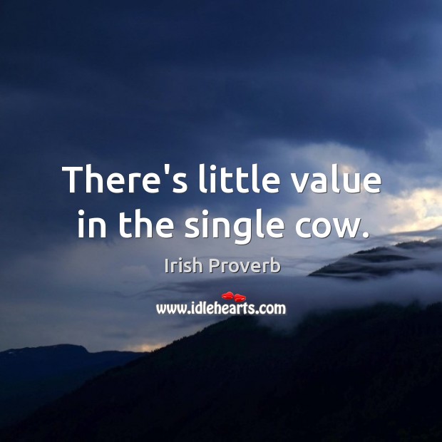 There’s little value in the single cow. Irish Proverbs Image