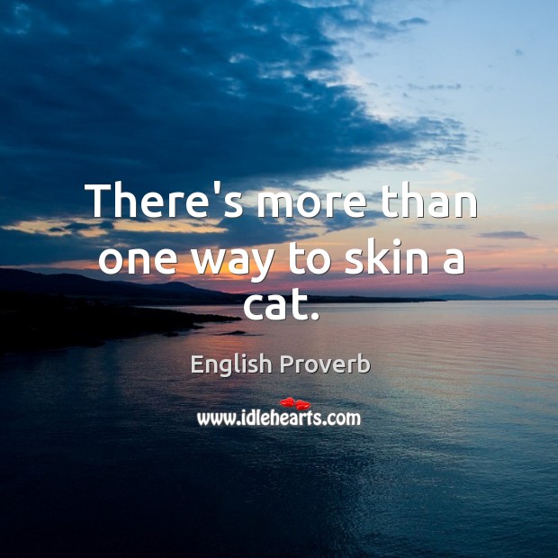 There’s more than one way to skin a cat. English Proverbs Image