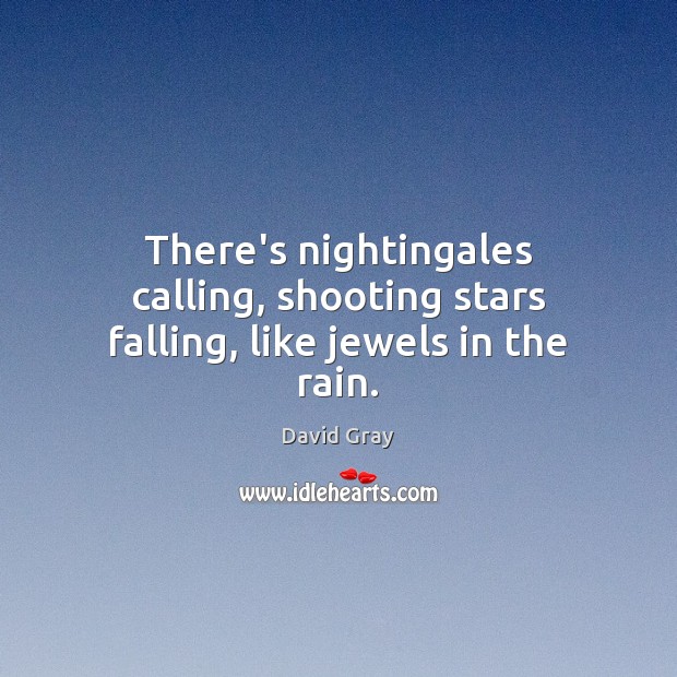 There’s nightingales calling, shooting stars falling, like jewels in the rain. David Gray Picture Quote