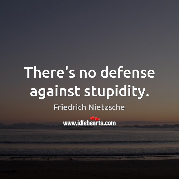 There’s no defense against stupidity. Friedrich Nietzsche Picture Quote