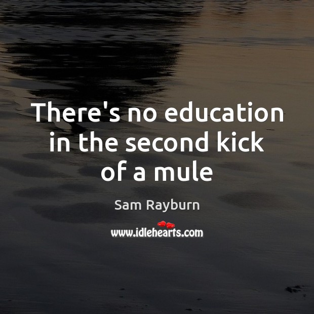 There’s no education in the second kick of a mule Sam Rayburn Picture Quote