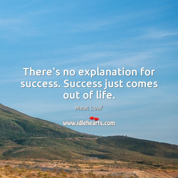 There’s no explanation for success. Success just comes out of life. Image