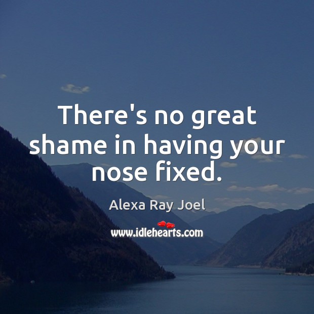 There’s no great shame in having your nose fixed. Alexa Ray Joel Picture Quote