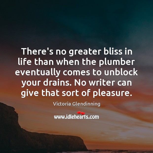 There’s no greater bliss in life than when the plumber eventually comes Victoria Glendinning Picture Quote