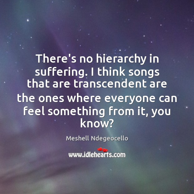 There’s no hierarchy in suffering. I think songs that are transcendent are Meshell Ndegeocello Picture Quote