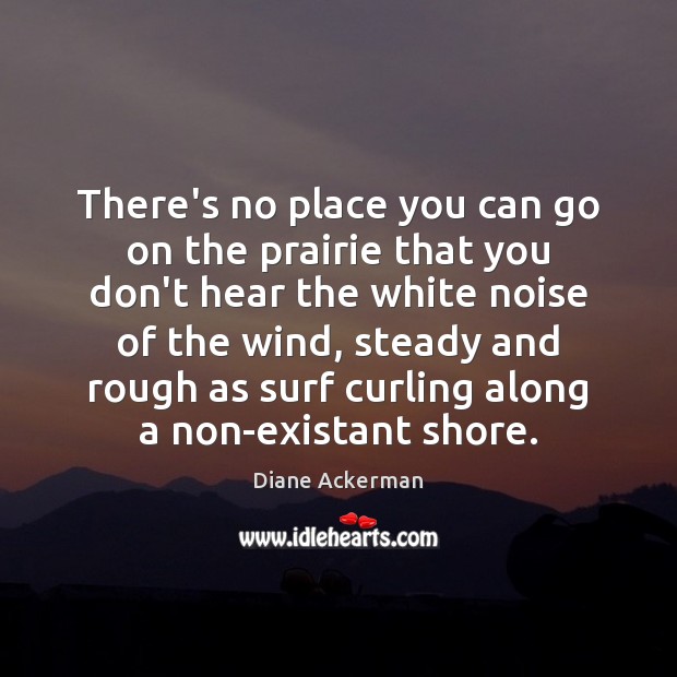 There’s no place you can go on the prairie that you don’t Diane Ackerman Picture Quote