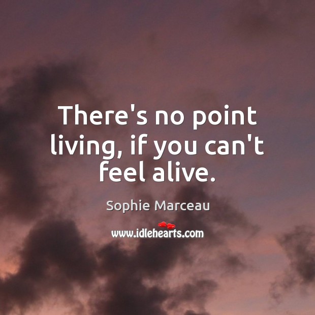 There’s no point living, if you can’t feel alive. Sophie Marceau Picture Quote