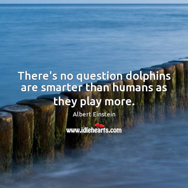 There’s no question dolphins are smarter than humans as they play more. Albert Einstein Picture Quote