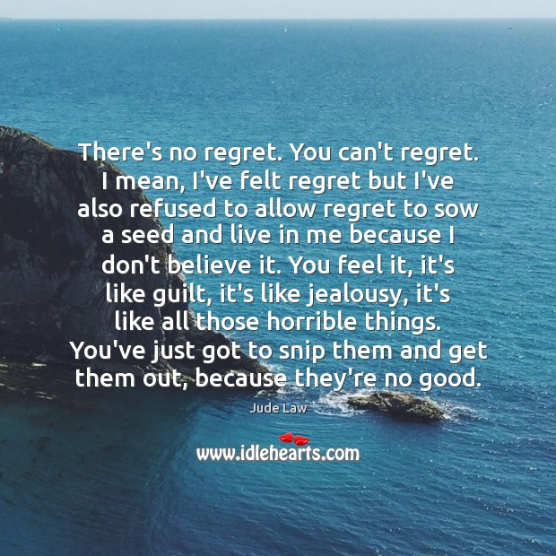 There’s no regret. You can’t regret. I mean, I’ve felt regret but Jude Law Picture Quote