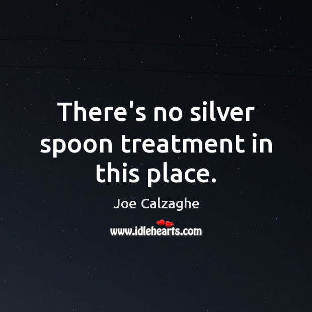 There’s no silver spoon treatment in this place. Joe Calzaghe Picture Quote