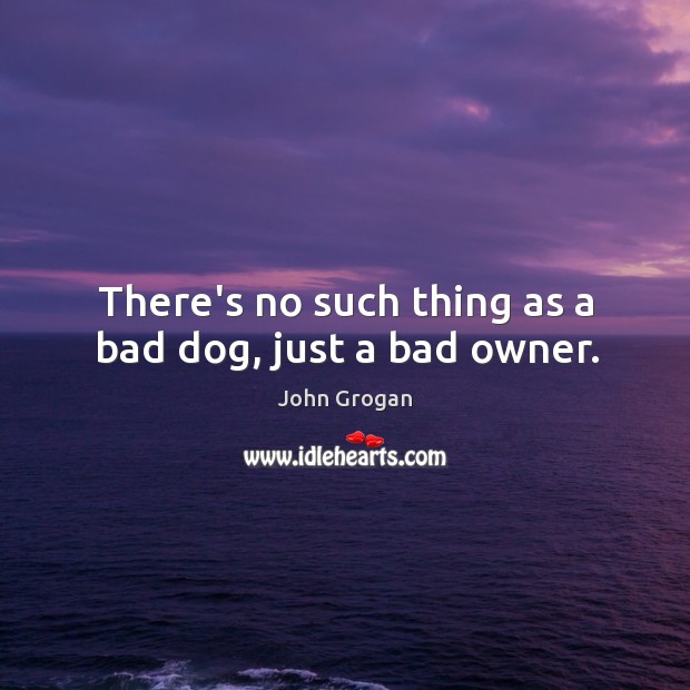 There’s no such thing as a bad dog, just a bad owner. John Grogan Picture Quote