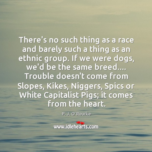 There’s no such thing as a race and barely such a thing P. J. O’Rourke Picture Quote