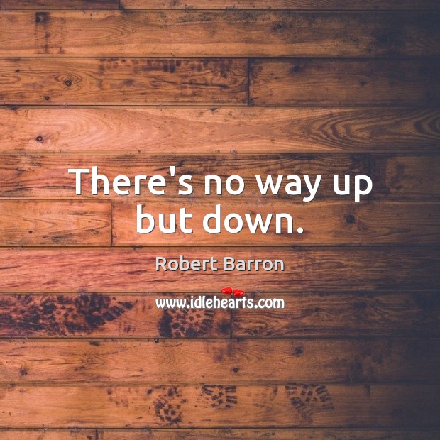 There’s no way up but down. Robert Barron Picture Quote