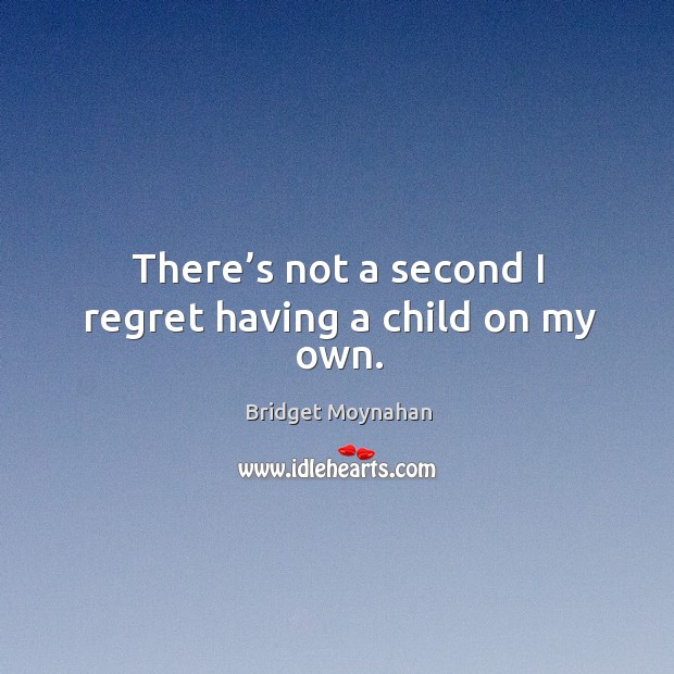 There’s not a second I regret having a child on my own. Bridget Moynahan Picture Quote