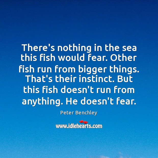 There’s nothing in the sea this fish would fear. Other fish run Image