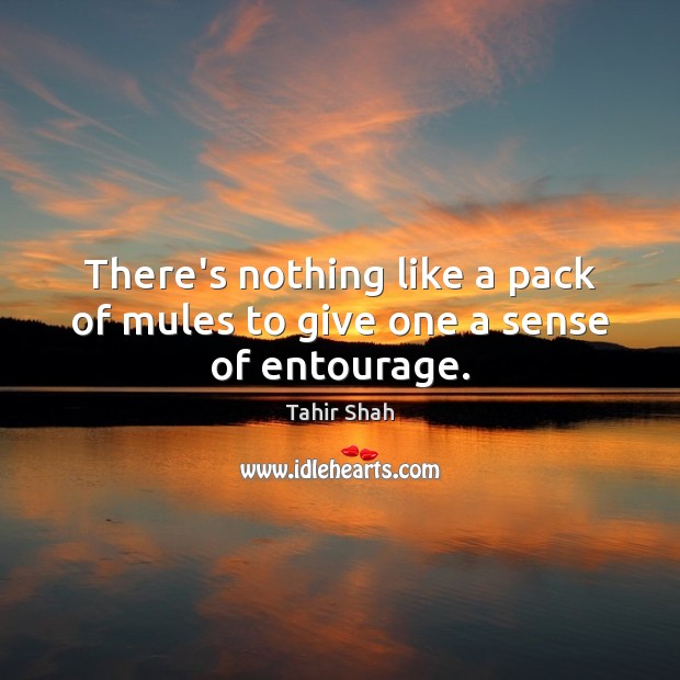 There’s nothing like a pack of mules to give one a sense of entourage. Tahir Shah Picture Quote