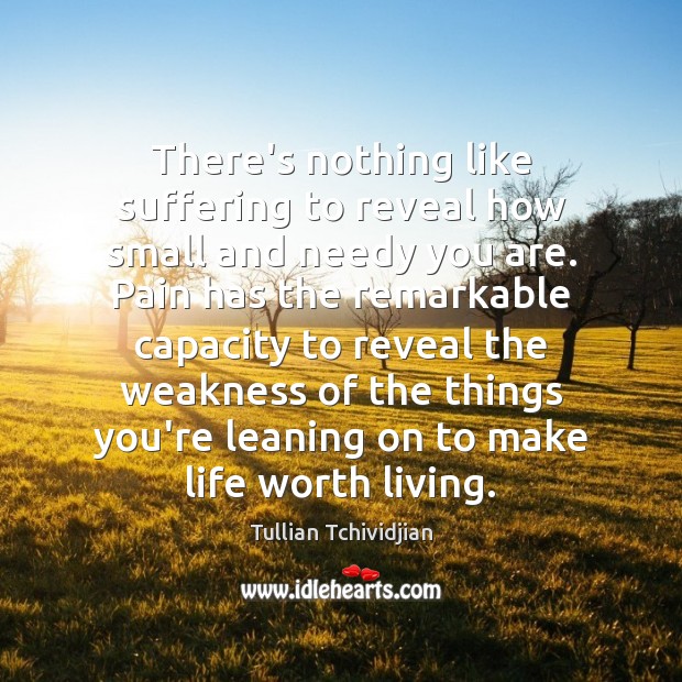 There’s nothing like suffering to reveal how small and needy you are. Tullian Tchividjian Picture Quote