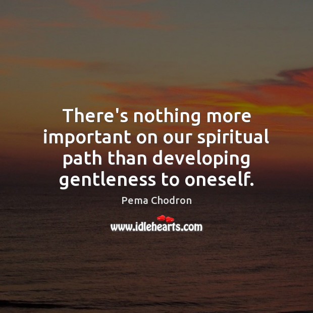 There’s nothing more important on our spiritual path than developing gentleness to Pema Chodron Picture Quote