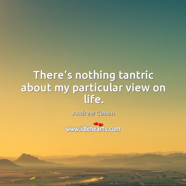 There’s nothing tantric about my particular view on life. Andrew Cohen Picture Quote