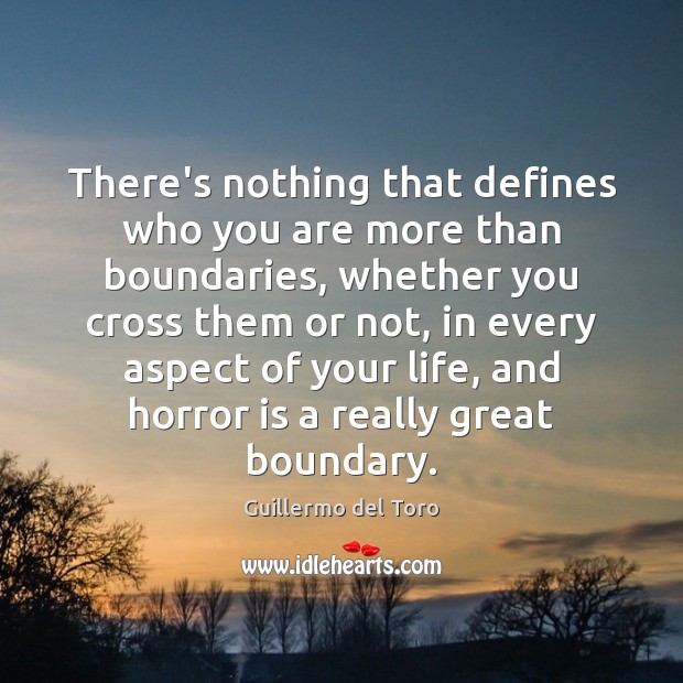 There’s nothing that defines who you are more than boundaries, whether you Guillermo del Toro Picture Quote