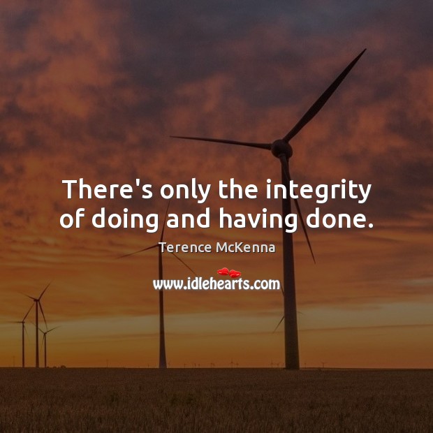 There’s only the integrity of doing and having done. Terence McKenna Picture Quote