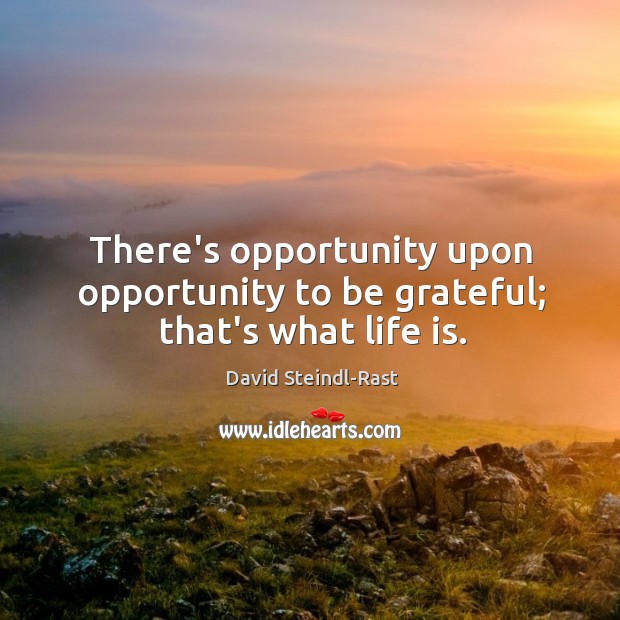 There’s opportunity upon opportunity to be grateful; that’s what life is. Image