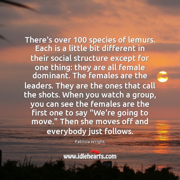 There’s over 100 species of lemurs. Each is a little bit different in Patricia Wright Picture Quote
