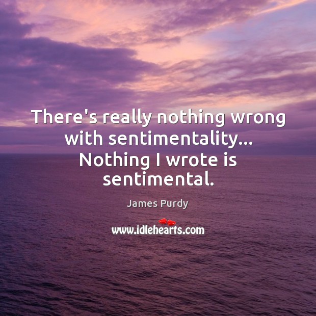 There’s really nothing wrong with sentimentality… Nothing I wrote is sentimental. James Purdy Picture Quote