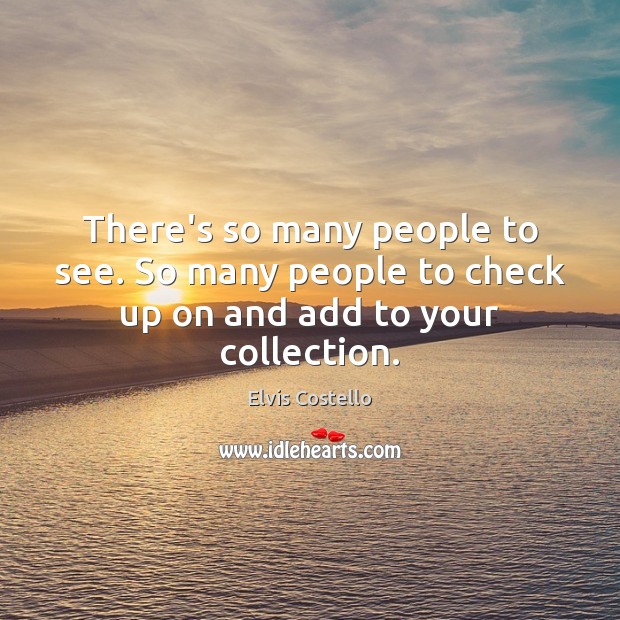 There’s so many people to see. So many people to check up on and add to your collection. Elvis Costello Picture Quote
