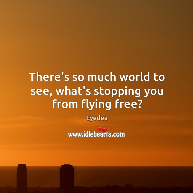 There’s so much world to see, what’s stopping you from flying free? Eyedea Picture Quote