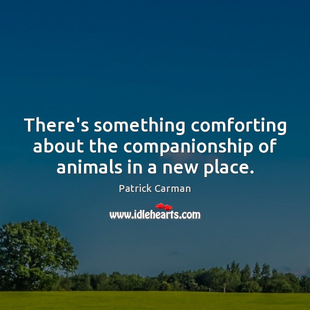 There’s something comforting about the companionship of animals in a new place. Patrick Carman Picture Quote
