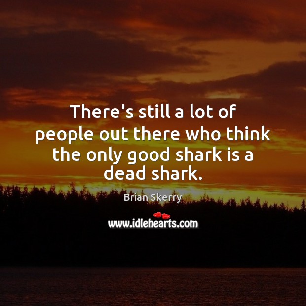 There’s still a lot of people out there who think the only good shark is a dead shark. Image