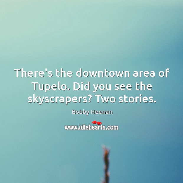 There’s the downtown area of Tupelo. Did you see the skyscrapers? Two stories. Bobby Heenan Picture Quote
