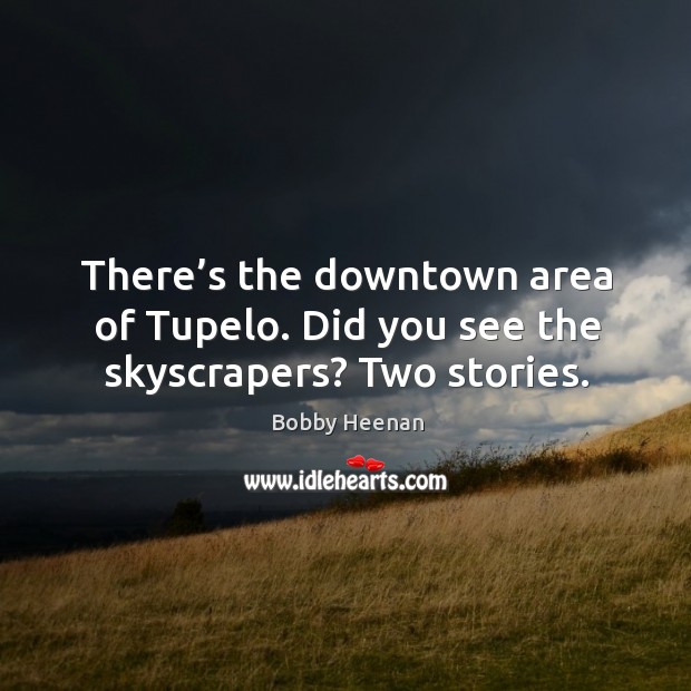 There’s the downtown area of tupelo. Did you see the skyscrapers? two stories. Bobby Heenan Picture Quote
