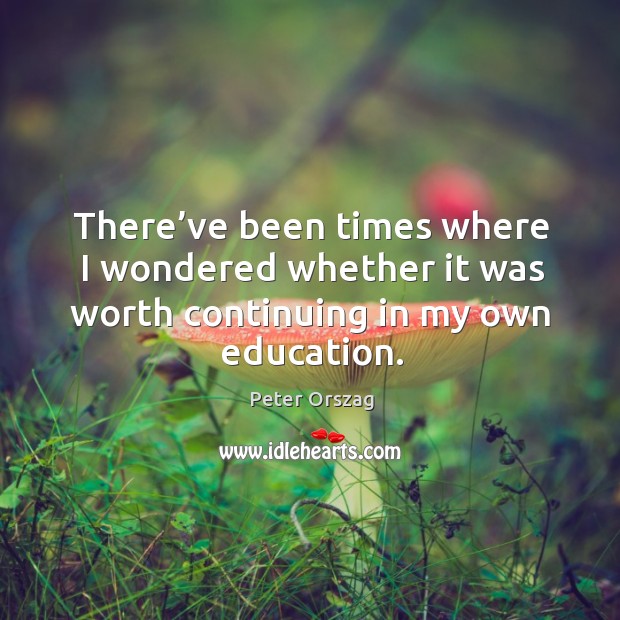 There’ve been times where I wondered whether it was worth continuing in my own education. Peter Orszag Picture Quote