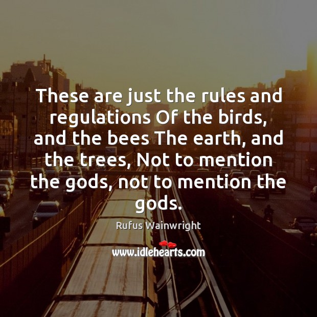 These are just the rules and regulations Of the birds, and the Rufus Wainwright Picture Quote