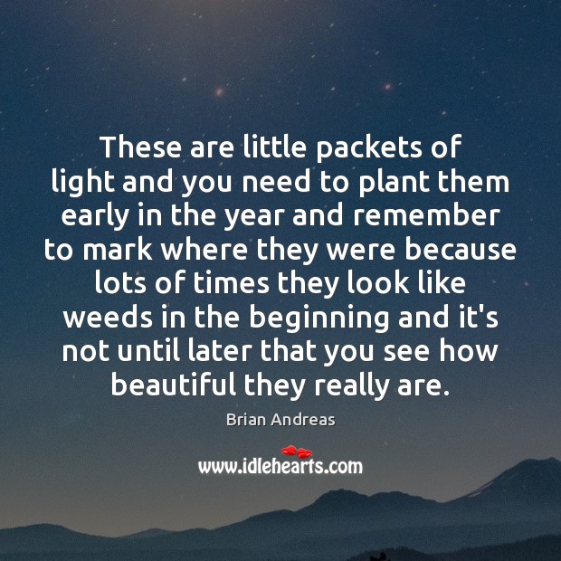 These are little packets of light and you need to plant them Brian Andreas Picture Quote