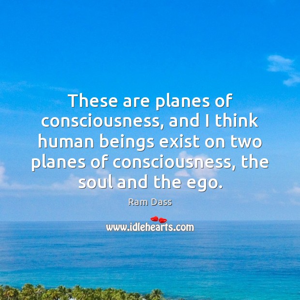 These are planes of consciousness, and I think human beings exist on Ram Dass Picture Quote
