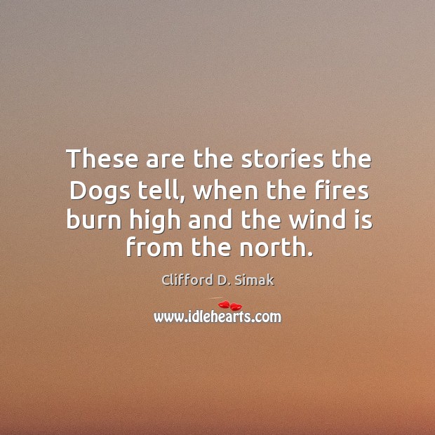 These are the stories the dogs tell, when the fires burn high and the wind is from the north. Clifford D. Simak Picture Quote